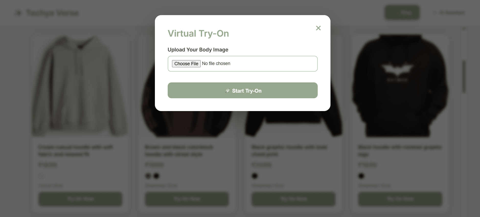 Virtual Try-On Fashion