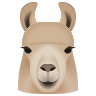 Llama